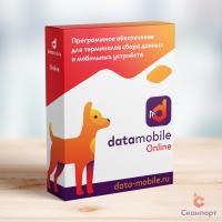 DataMobile Online - подписка на 12 месяцев